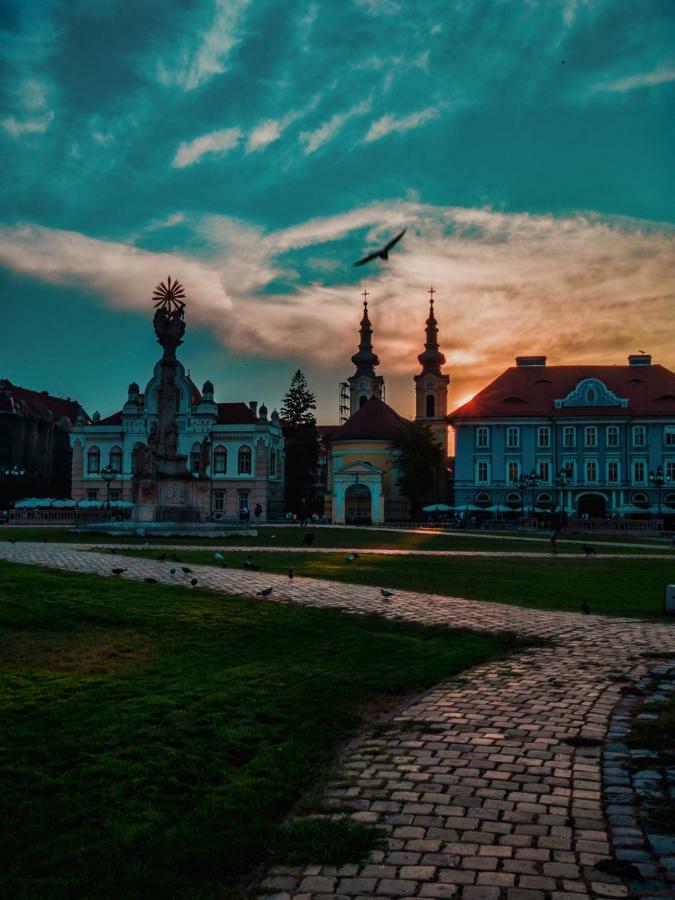 Business And Travel Central Apartment Timisoara Exterior photo